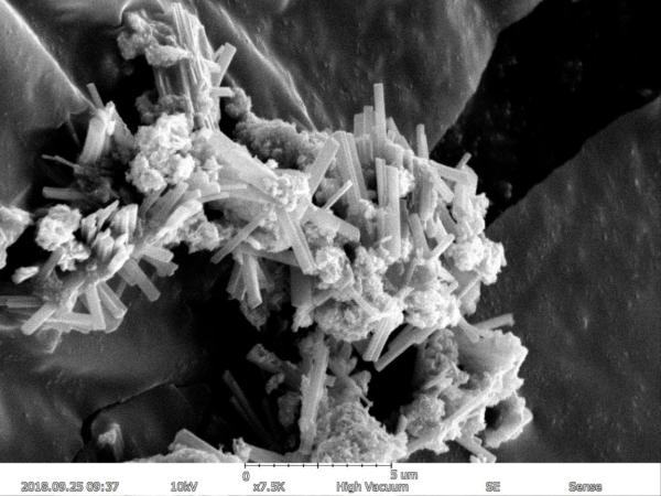 Magnification Max 150000X Scanning Electron Microscope 5nm Resolution EDS BSE