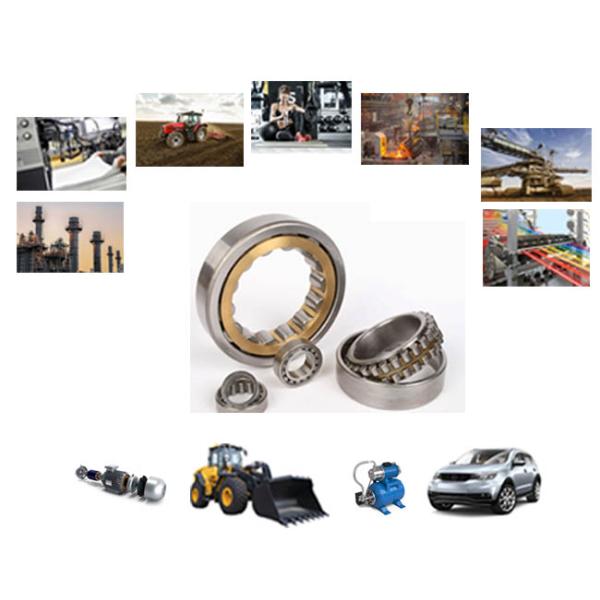 Подшипник ролика двойной строки подшипников сплющенного ролика хромовой стали конический