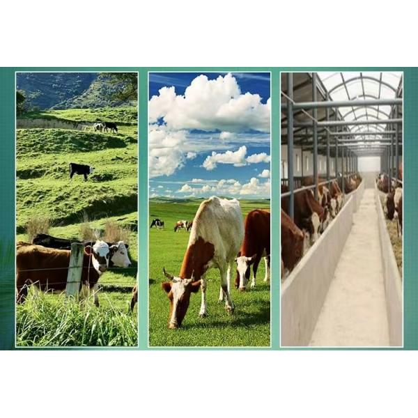Cattle Cow Horse Sheep Farm Electric Fencing Gate Handle Husbandry Electric Fencing Handles