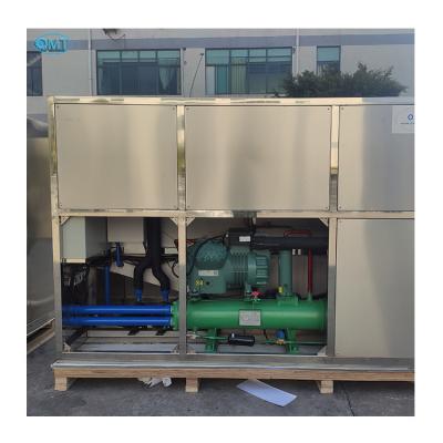 High Capacity Commercial Large Ice Cube Maker Stainless 4ton Long Term Use