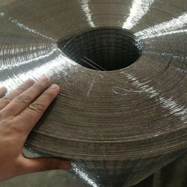 Pvc Coated 50 X 50 Galvanized Welded Wire Mesh 2mm