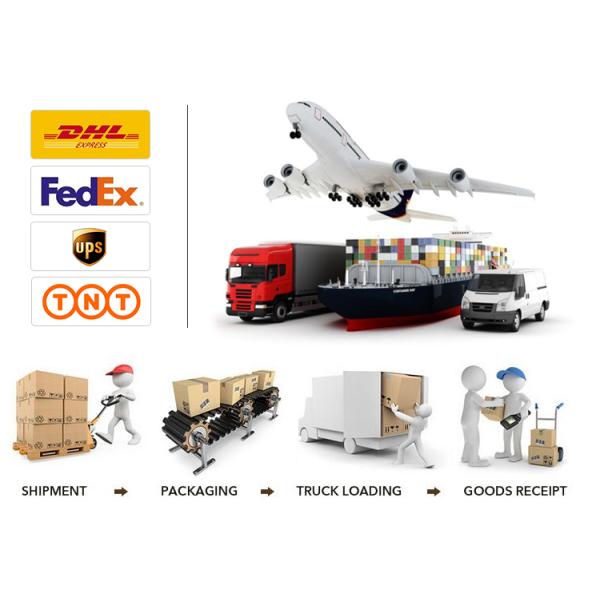 600 kg Static Loading 19 Inch 18U 19U 24U 42U 48U Data Network Cabinet Server Rack