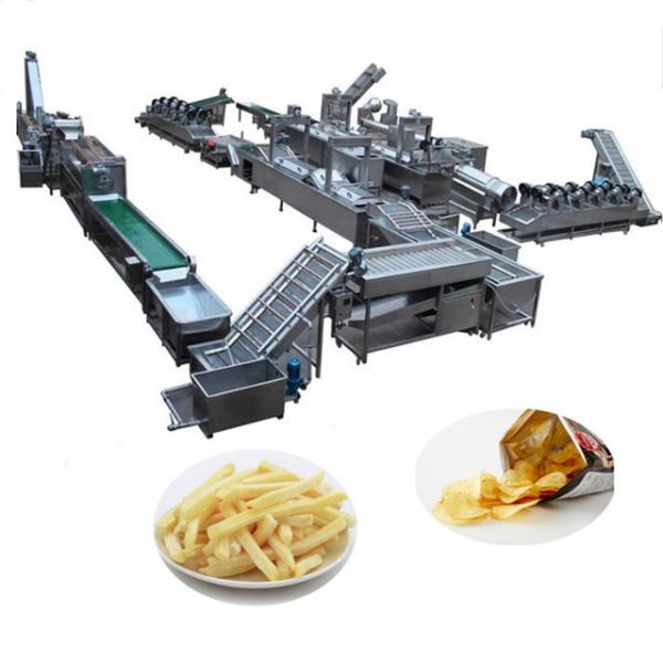 Electronic French Fries Manufacturing Machine Food Industry Potato Chips Deep Fryer Machine