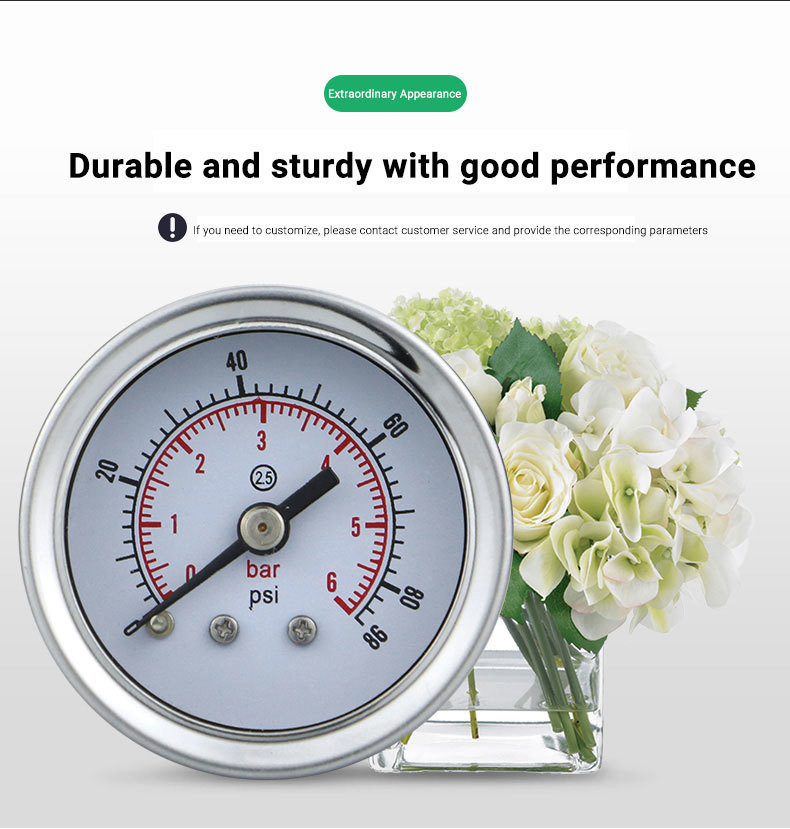 41.5mm Back Mounted Pressure Gauge for Water and Gas Applications in Biogas Systems