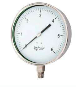 6 150mm All Stainless Steel Pressure Gauge Radial Connection BST Bottom