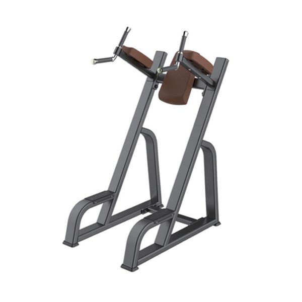 ISO Parallel Bar Knee Raise U+B8037 Compliant Complete Motion Stepless