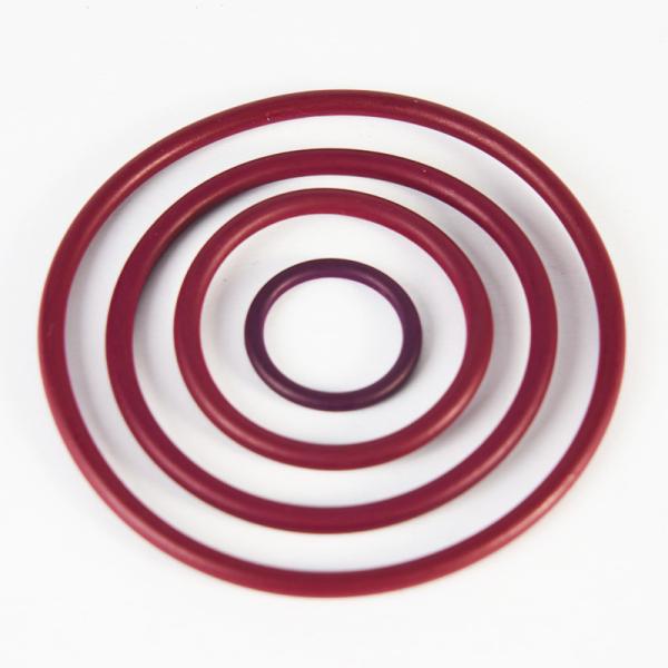 DIN 3869 Sealing Profile Rings with Temperature and Wear Resistance for Service Pressure Up To 30MPa