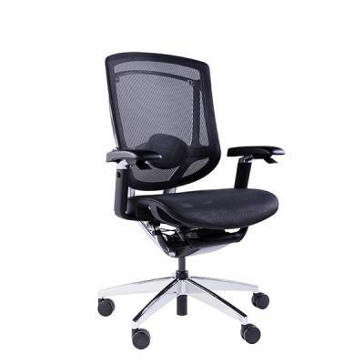 Marrit PA Plastic Ergo Mesh Manager Chair 5D Wire Control Arms