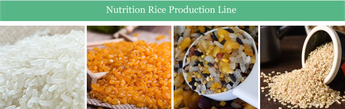 Nutritional Artificial Rice Processing Line Making Machinery Manufacturing Plant 1 ton per hour