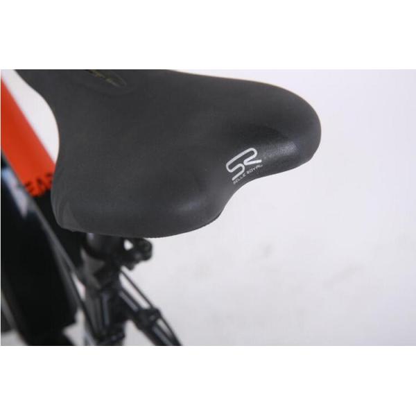 OEM Adult Electric Assist Mountain Bike With 36V / 10.4Ah Lithium Battery