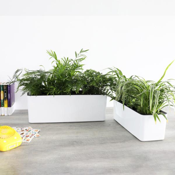 Rectangle Plastic Cuboid Self Watering Houseplant Pots White Or Blue