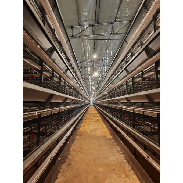 H Shape Egg Duck Cage Equipment Mobile Feeding System Anti Mold Waterline Duck Specific Fountain
