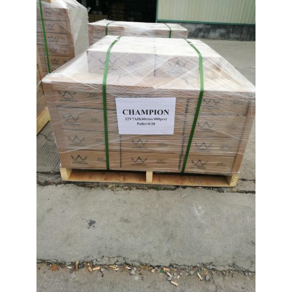 12V 12AH 20hr Rechargeable Deep Cycle Battery F250 Terminal