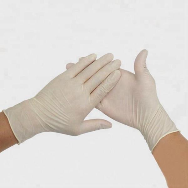 Clear Vinyl Disposable Medical Gloves Powder Free Or Powdered With CE FDA