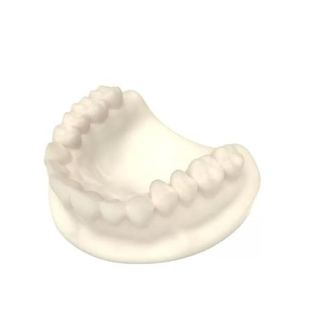 J​​aw Model Dental Composite Resin For 3d Printing​ Bite Pads Safety​