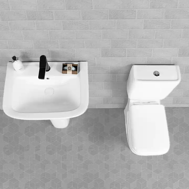 Indoor Bathroom Sanitary Ware Ceramic Toilet And Basin Combo Set