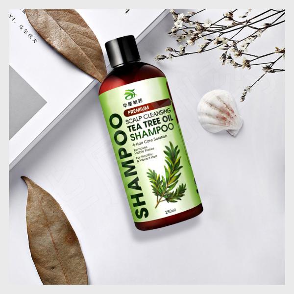 Odm Tea Tree Oils Anti Hair Loss Shampoo For Oily Hair Scalp Cleansing