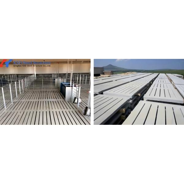 304 Stainless Steel Farrowing Crates , Farrowing Pens For Pigs