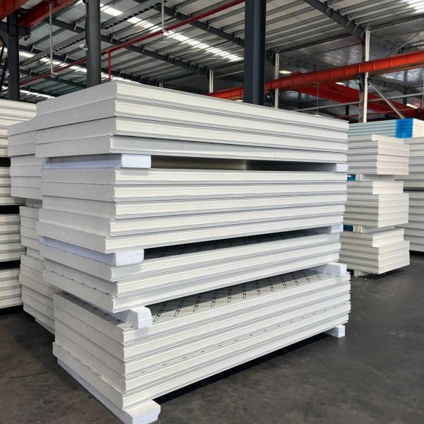 Modern Design Style Warehouse Exterior EPS Polyurethane Rock Wool Sandwich Panel