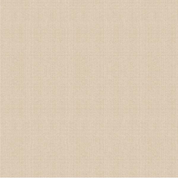 Telha da porcelana de Matt Surface Non Slip Modern, Matt Porcelain Tiles rústico