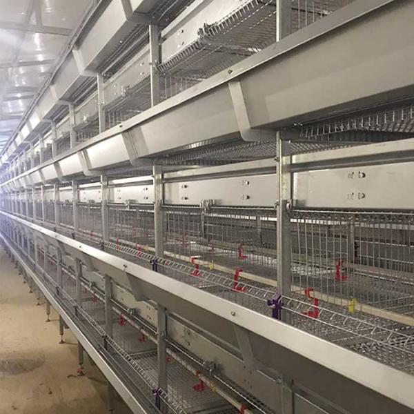 Fireproof Baby Chick Cage Automatic Drinking System Corrosion Resisting