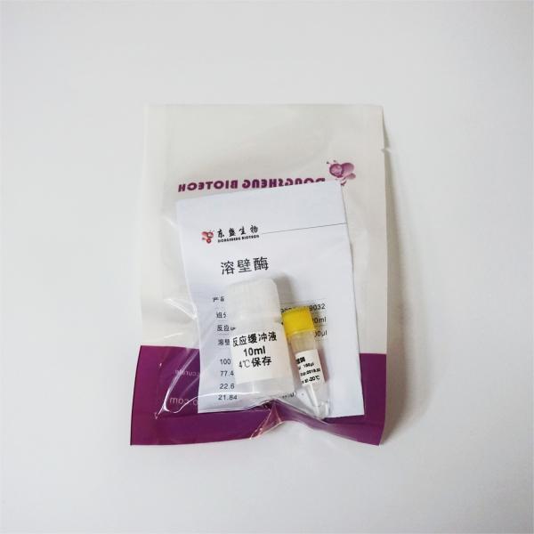 150ul 300ul Lyticase Enzyme N9032 Colourless Solution