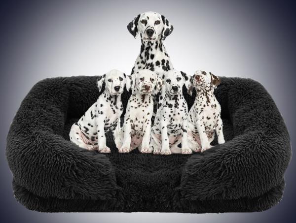 Color Customization Nice Quality Pet Bed Durable Pet House Easy Cleaning Mat For Pet Cat Dog