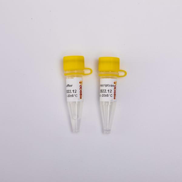 10000U Gold Reverse Transcriptase PCR R3002 Colourless Appearance