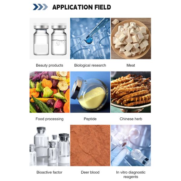 Small Scale Pharmaceutical Freeze Dryer Vacuum Drying Machine for Scientific Labs