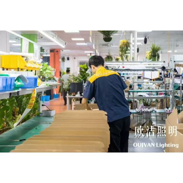 Shenzhen Oujie Lighting Technology Co., Ltd.
