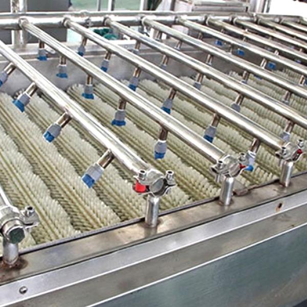 Máquina de lavar de aço inoxidável fresca automática do fruto do líquido de limpeza do gengibre/cúrcuma