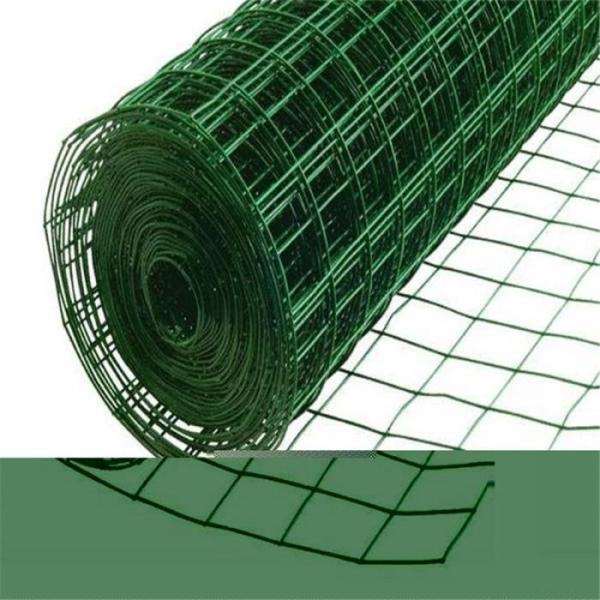 Galvanized PVC Coated Welded Wire Mesh with Customizable Mesh Size for Chicken