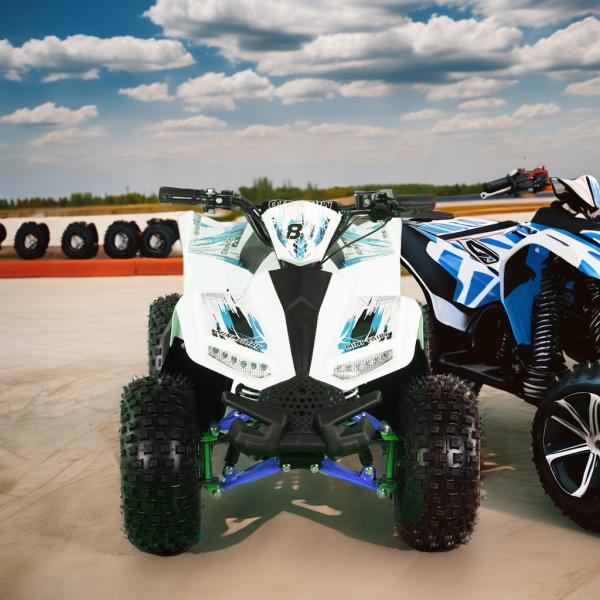 1200W48V Electric ATV Shaft Driving 4 Wheeler Kids Electric Quad Four Wheeler with CE 2024
