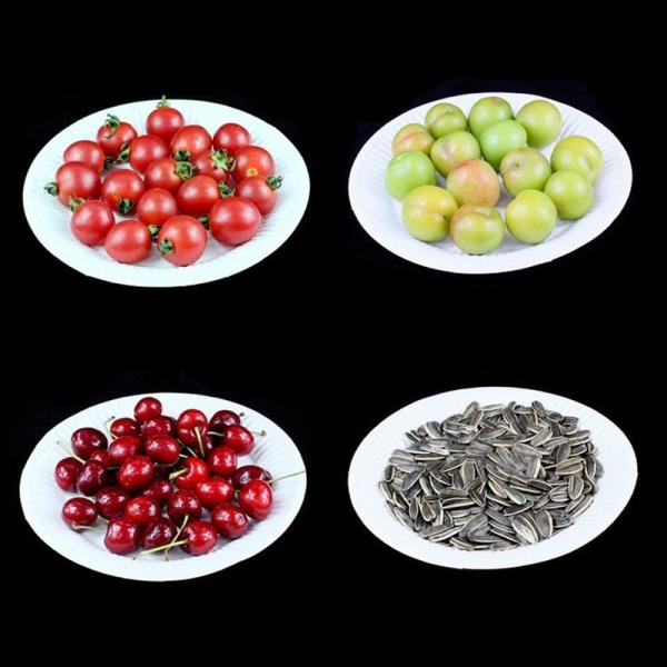 Eco-Friendly Biodegradable Paper Pulp Food Plate Paper Food Containers Customization