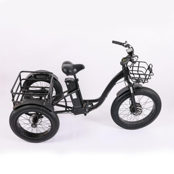 High Capacity Family Cargo Bike with Torque 80-90 Nm and Rear Carrier Battery Position