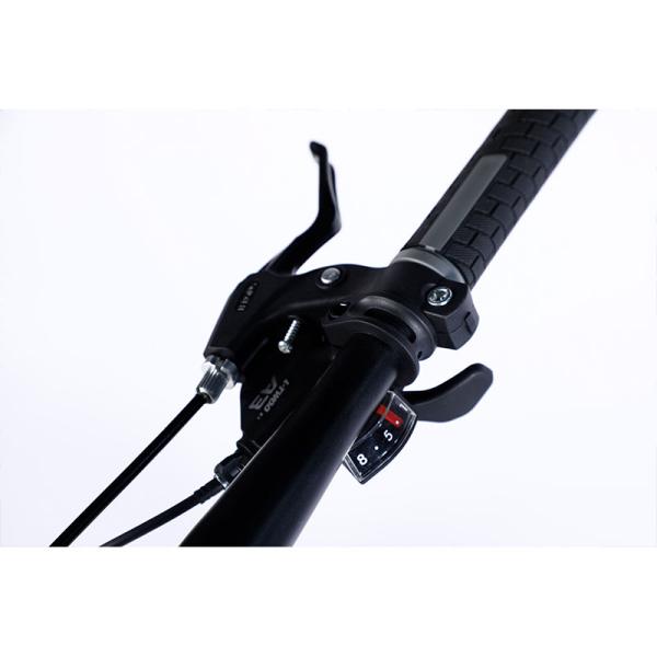 Ощутите волнение 24 скорости жирный горный велосипед с двойным ободом и большими шинами