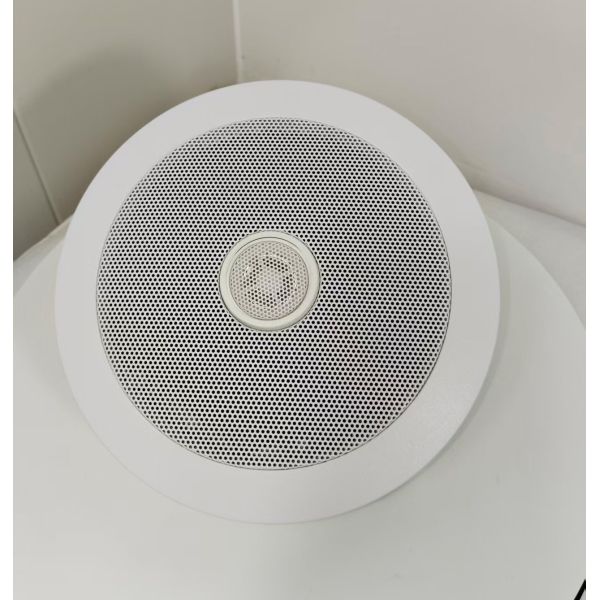 5 Inch Coaxial Speaker 20W Economic Ceiling Speaker Flush Mount