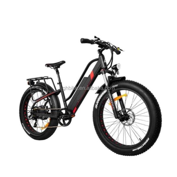 750W 50KM/H A2B CE Chinese OEM 48V Motor Fat Tire Electric Mountain Bicycle Good Nice