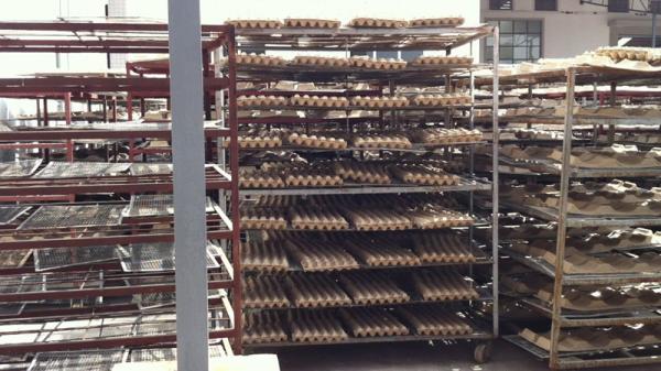 Maquinaria moldando da polpa semiautomática que faz a Ovo-bandeja/bandeja/400pcs/h