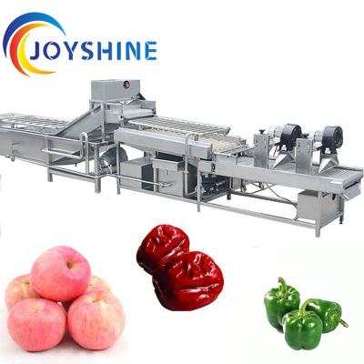 JOYSHINE Group's Mango Washing Machine Easy to Operate at 500kg/h Production Capacity