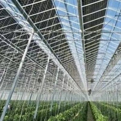 US Hot DIP Galvanized Steel Multi Span Glass Greenhouse 50.00cm * 60.00cm * 80.00cm