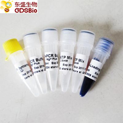 GDSBio Taq DNA Polymerase For PCR Master Mix