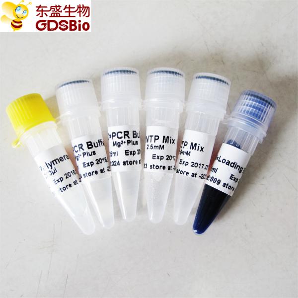 GDSBio Taq DNA Polymerase For PCR Master Mix