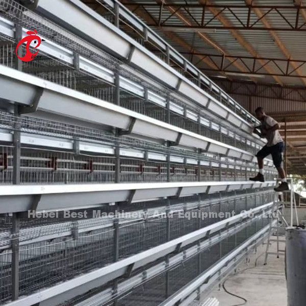 Системы клетки сельского хозяйства птицы клетки слоя слой яйца автоматической популярный высококачественный арретирует розовое