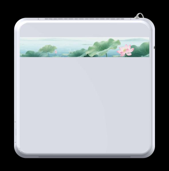 TY-H5 Wall mounted deodorizing equipment