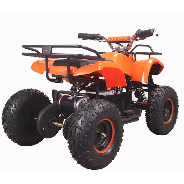 500W Mini Quad ATV for Kids 800W 1000W Electric Powered at Transmission CHAIN DRIVE