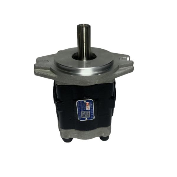 Long Working Life Steel Material Hydraulic Pump with 6 Months Warranty for HELI CPD20-30 Forklift Spare Part DSG05/DSG05C16F9H1-R016CH