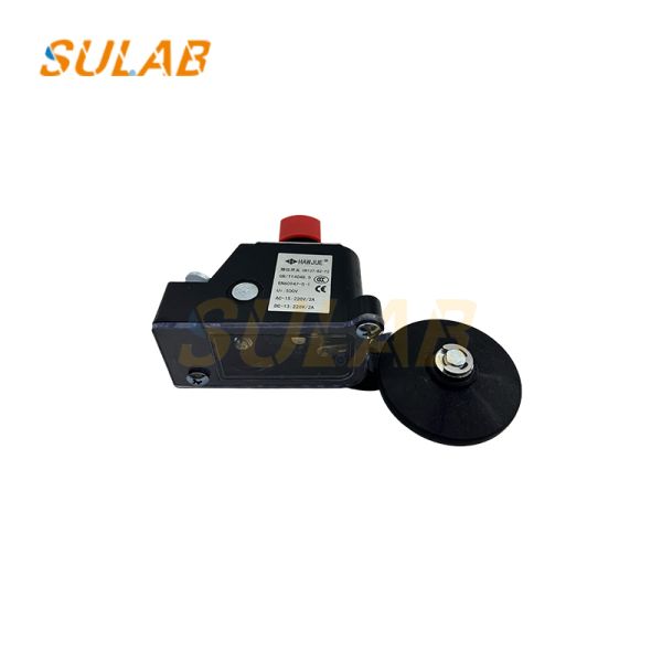 CR137-BZ-T2 Heavy-Duty Limit Switch with IP67 Rating, 2×SPDT Snap-Action Contacts and Steel Roller Lever