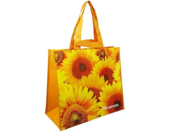 Simple Design PP Non Woven Shopping Bags , Laminated Non Woven Fabric Carry Bag