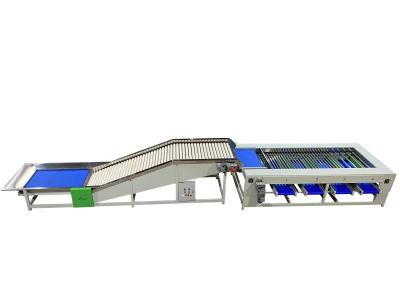 Industrial Apple Roller Sorting Machine For Fruits And Vegetables Processing Line SUS304